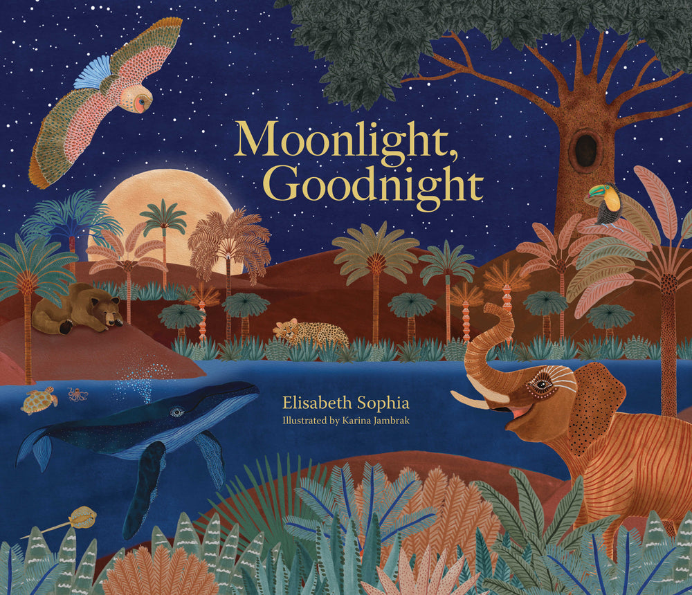 Moonlight, Goodnight (PAPERBACK)